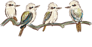 Dent8 Dental